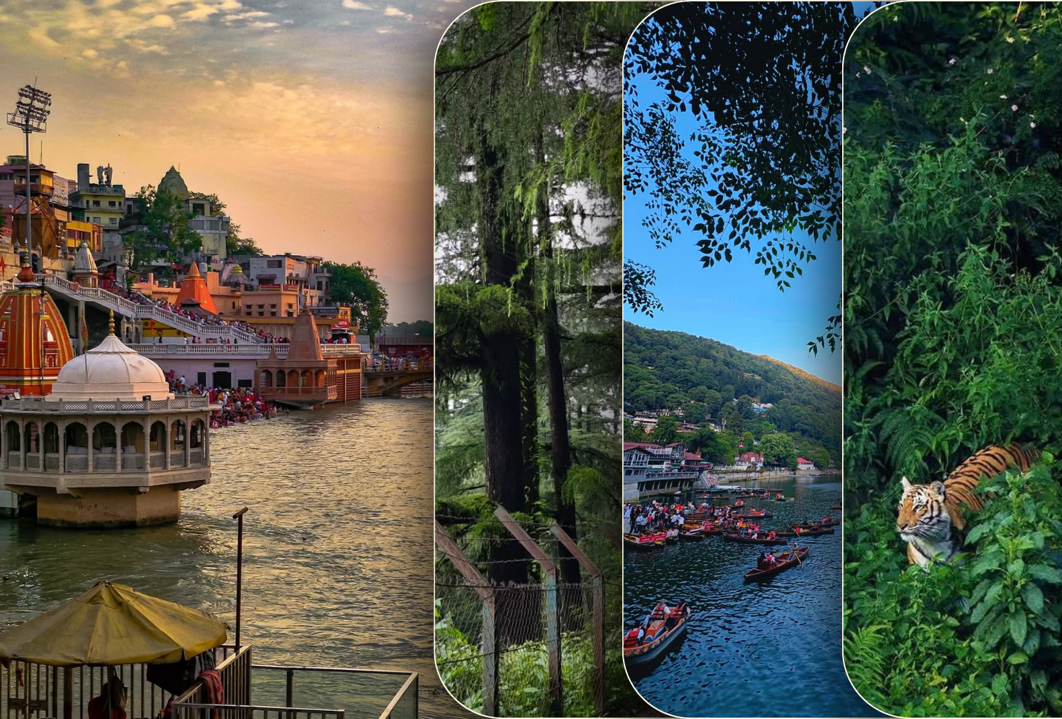8 Days Uttarakhand Family Mountain Escape – Haridwar, Mussoorie, Nainital & Corbett